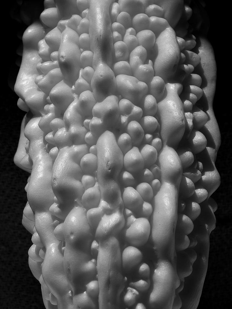 BitterFruitBW3.jpg