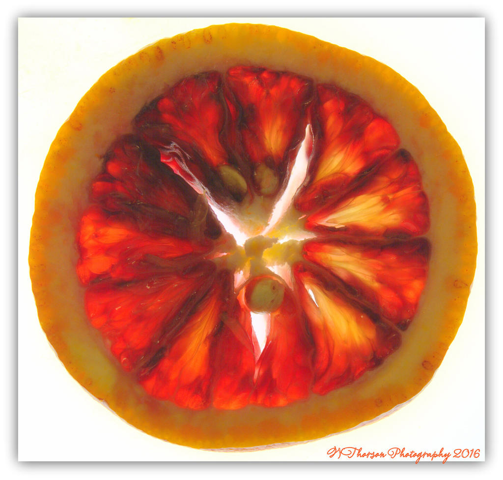 Blood Orange Slice 5-4-2016.jpg