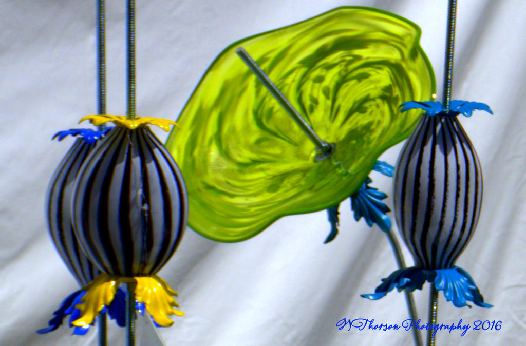 Blown Glass #2  at the Park City Arts Festival 8-12-2016.jpg