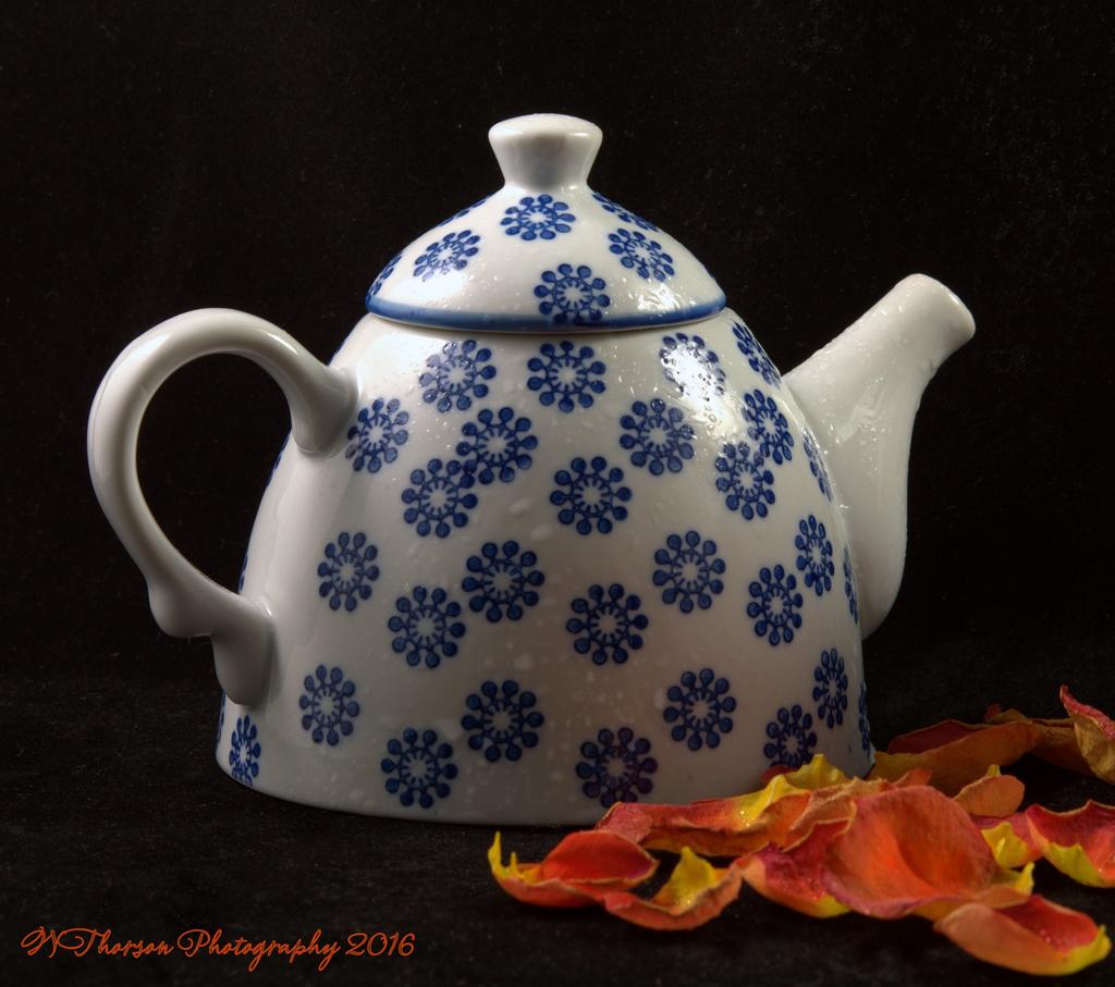 Blue and White Teapot 11-1-2016.jpg