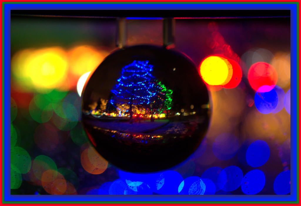 Blue Christmas Tree.jpg