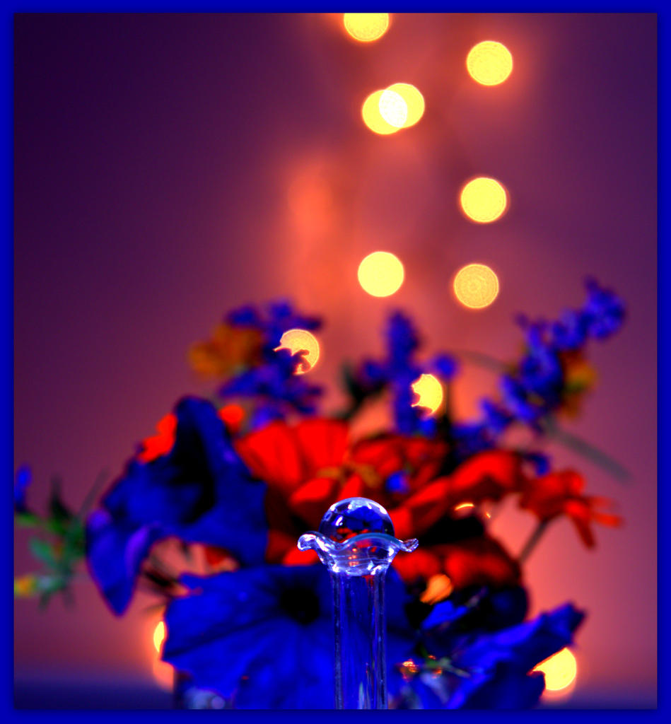 Blue Petunias with Orange Zinnia's.jpg