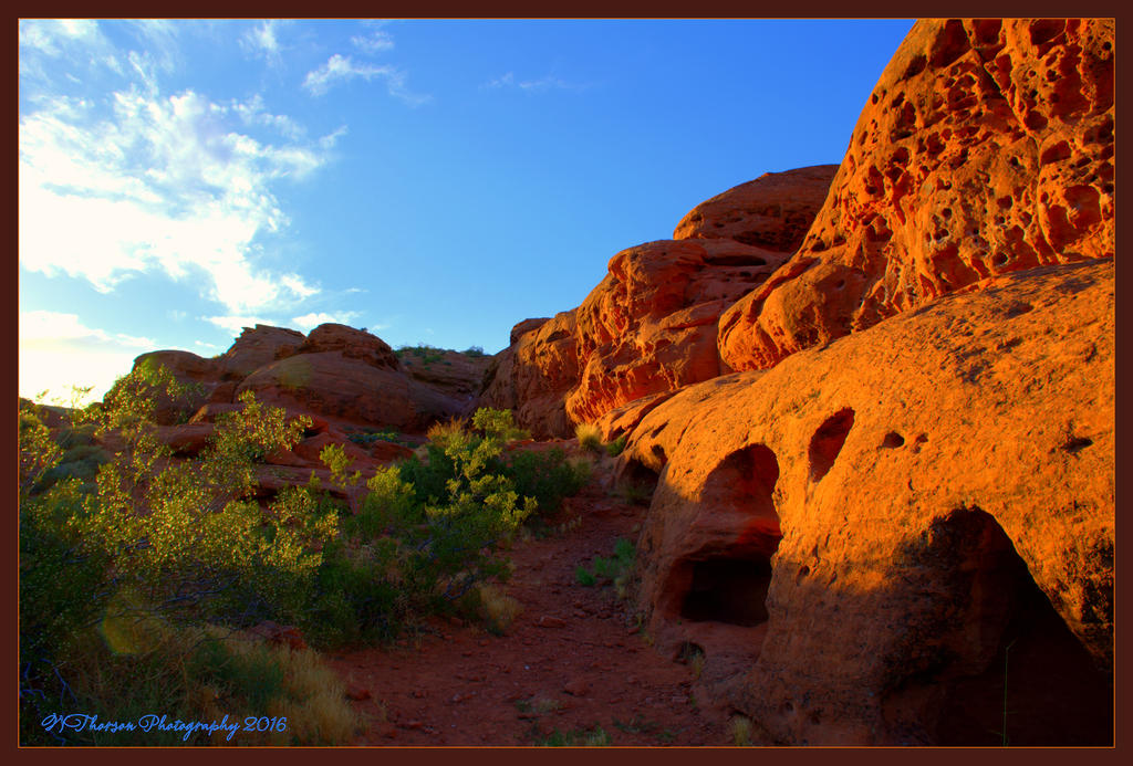Blue Sky and Red Rocks  6-14-2016.jpg
