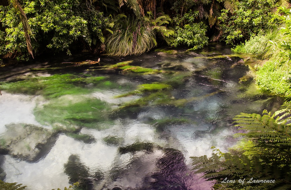 Blue Springs 1 LOL.jpg