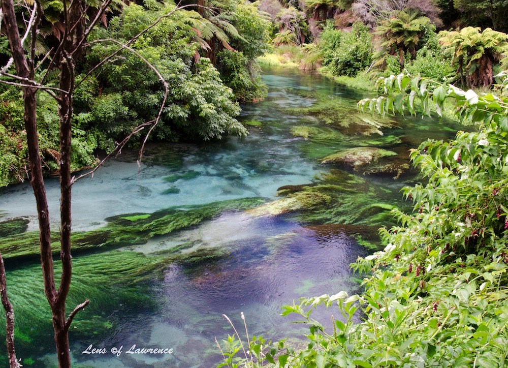 Blue Springs 2 LOL.jpg