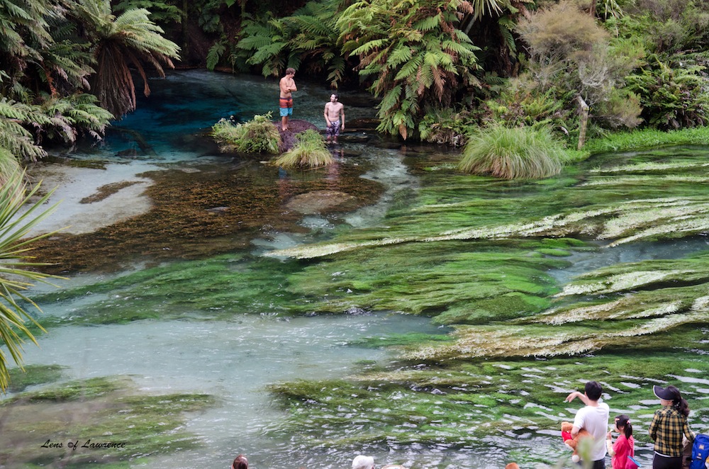 Blue Springs 9 LOL.jpg