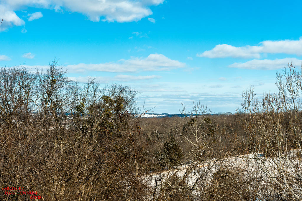 Blue Winter Skies-0449.jpg