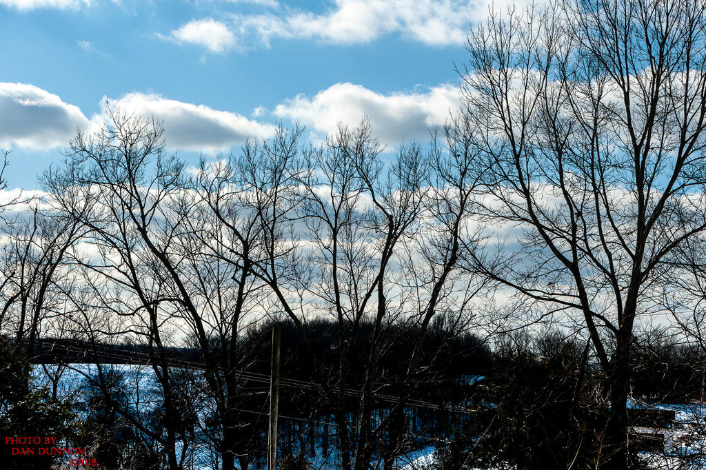 Blue Winter Skies-0454.jpg