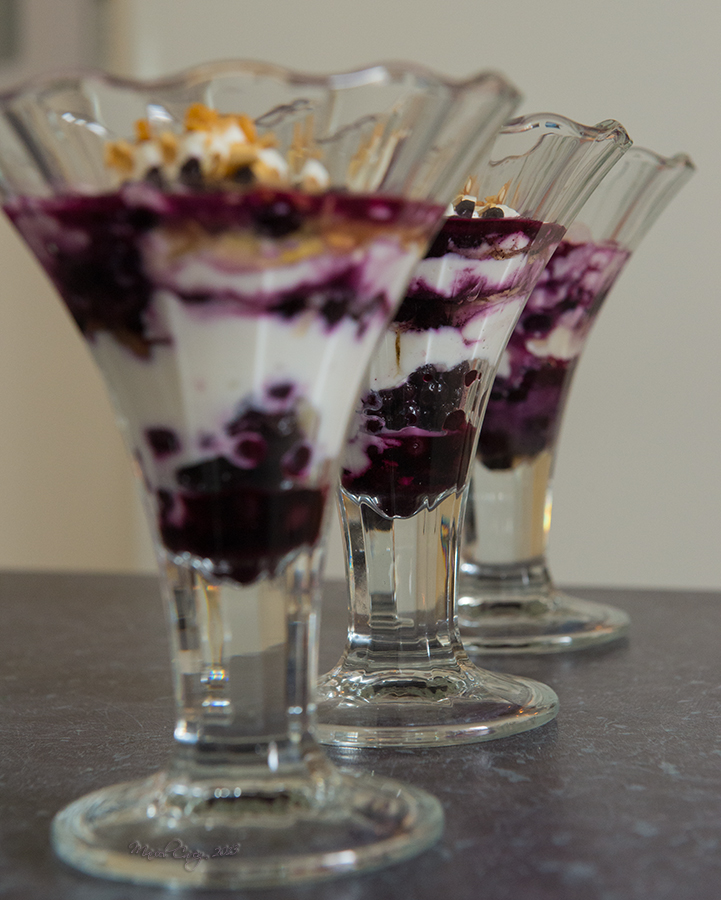 Blueberry Yogourt 2.jpg