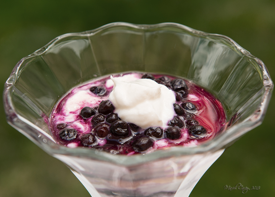Blueberry & Yougourt 1.jpg