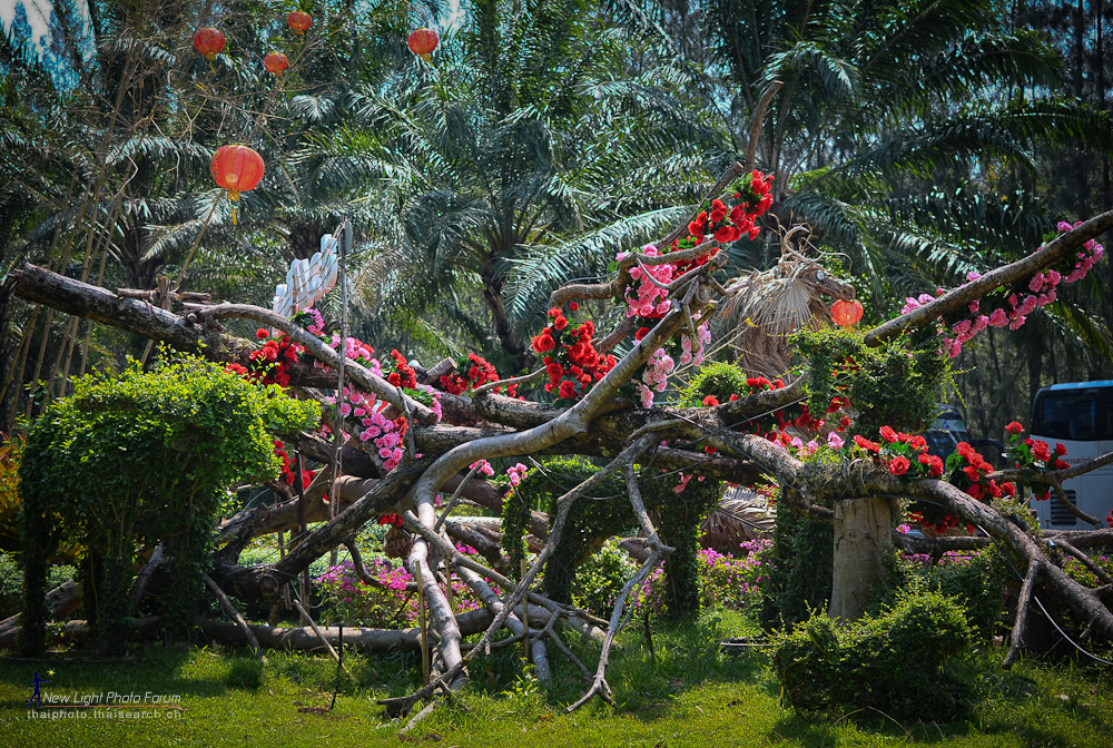 blumenstrauch-1.jpg