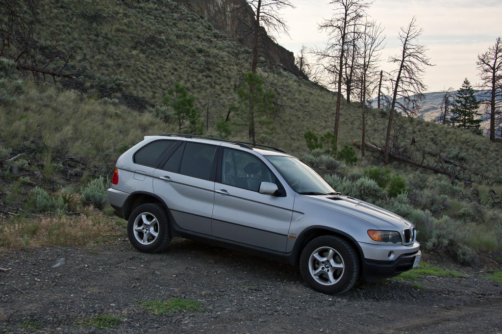 bmw1.jpg