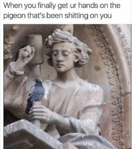 bnbm.jpg