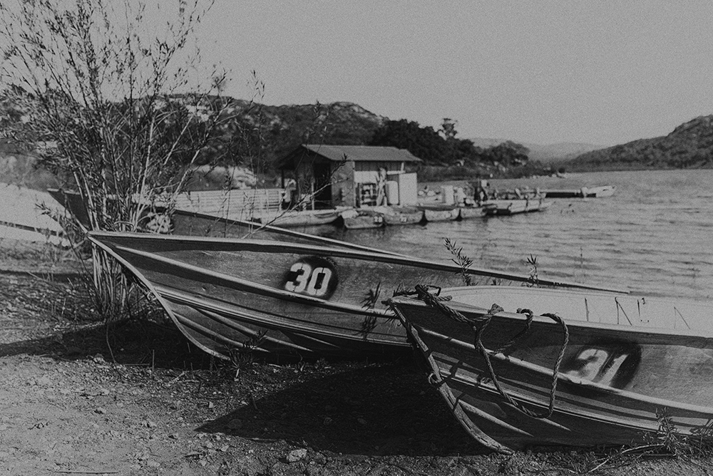 Boats.jpg