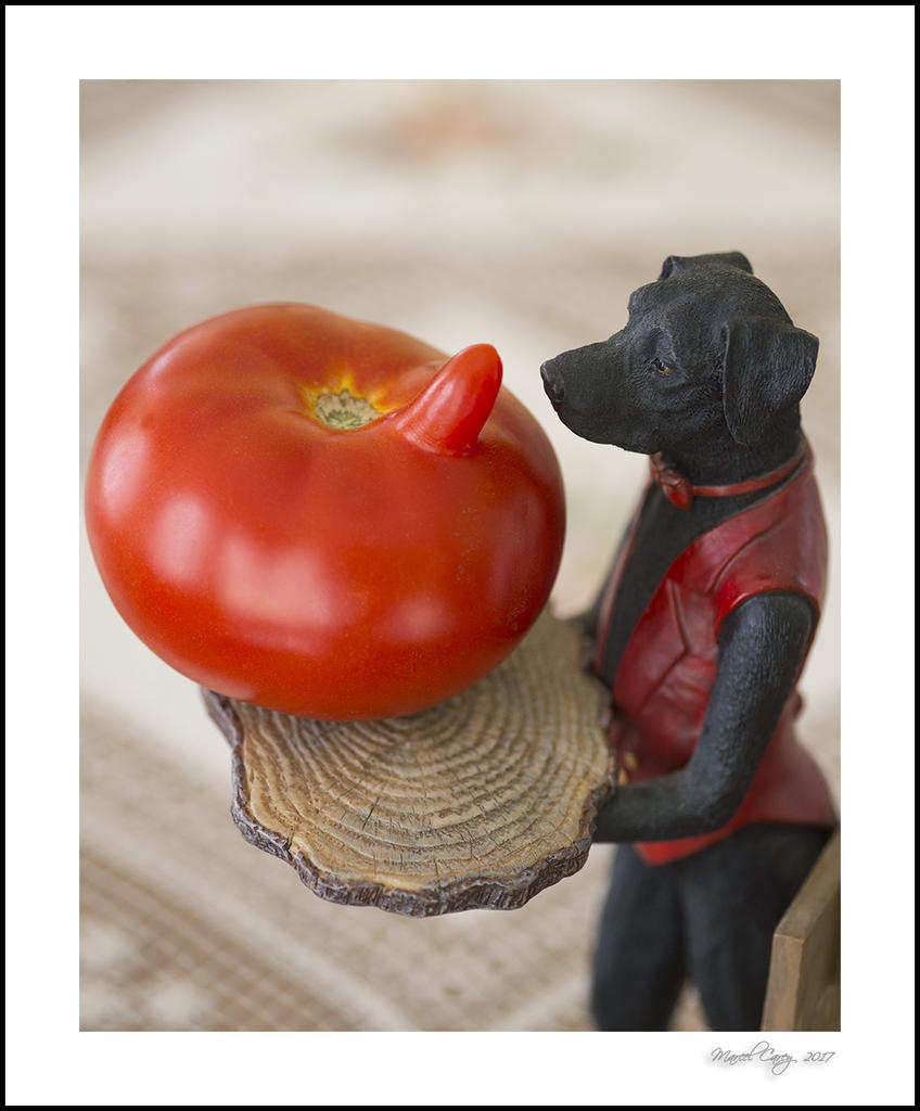 Bon Chien.jpg