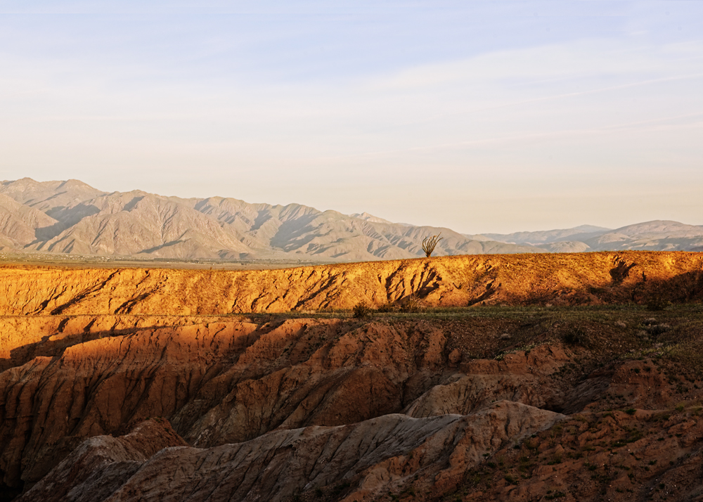Borrego 1 - Small.jpg