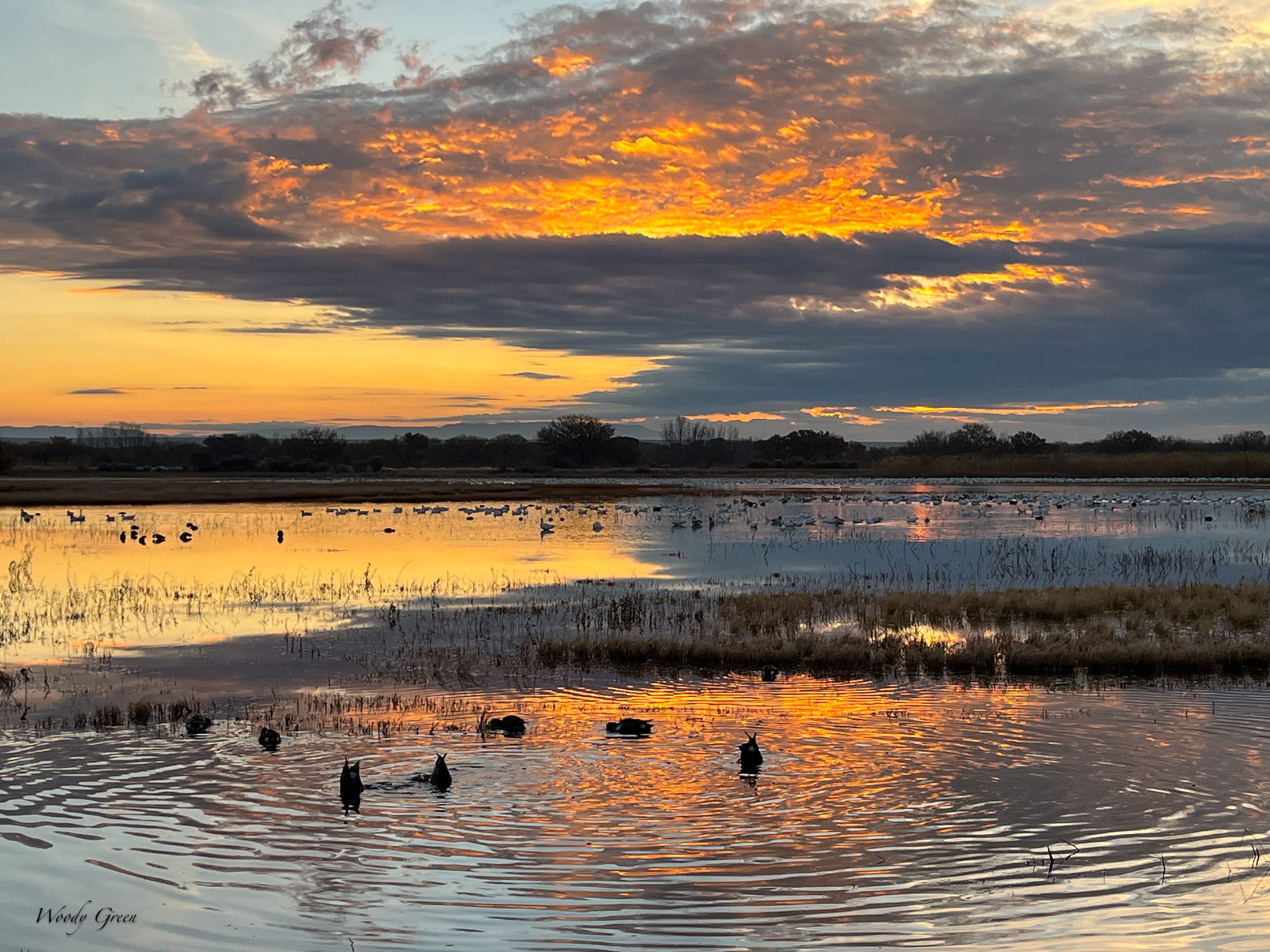 BosqueSunrise-249.jpg