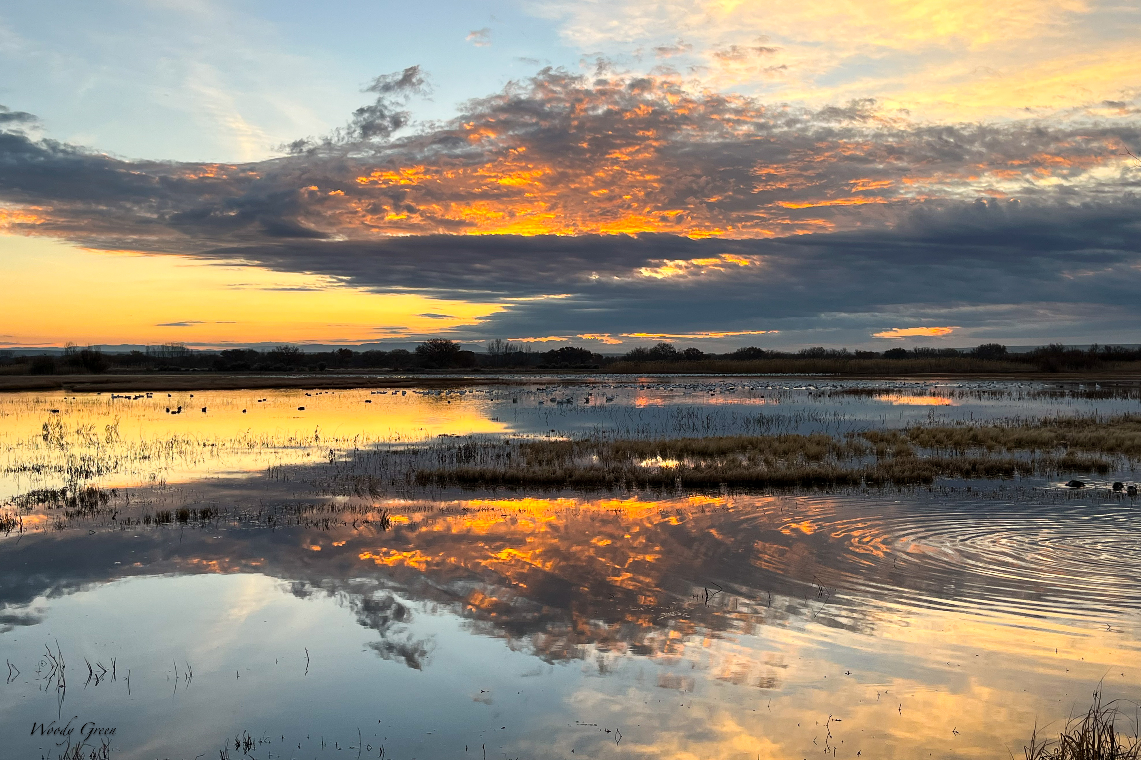 BosqueSunrise-250.jpg