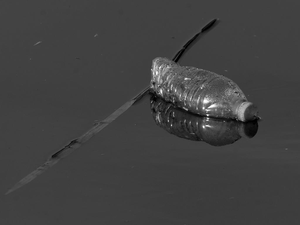 BottleBW.jpg