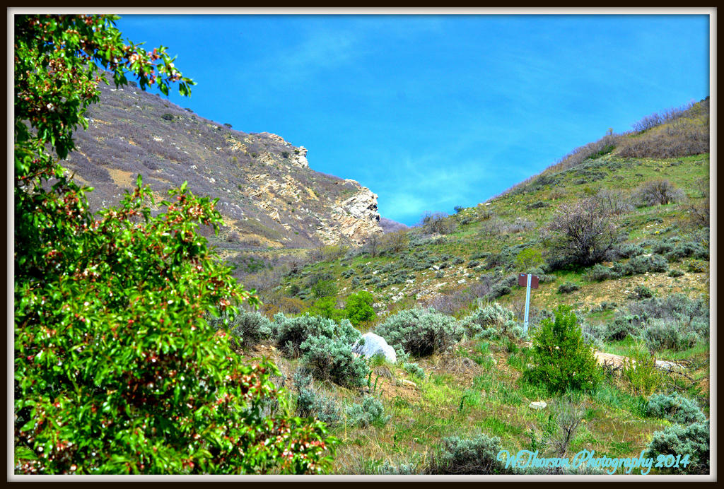 Bountiful Canyon.jpg