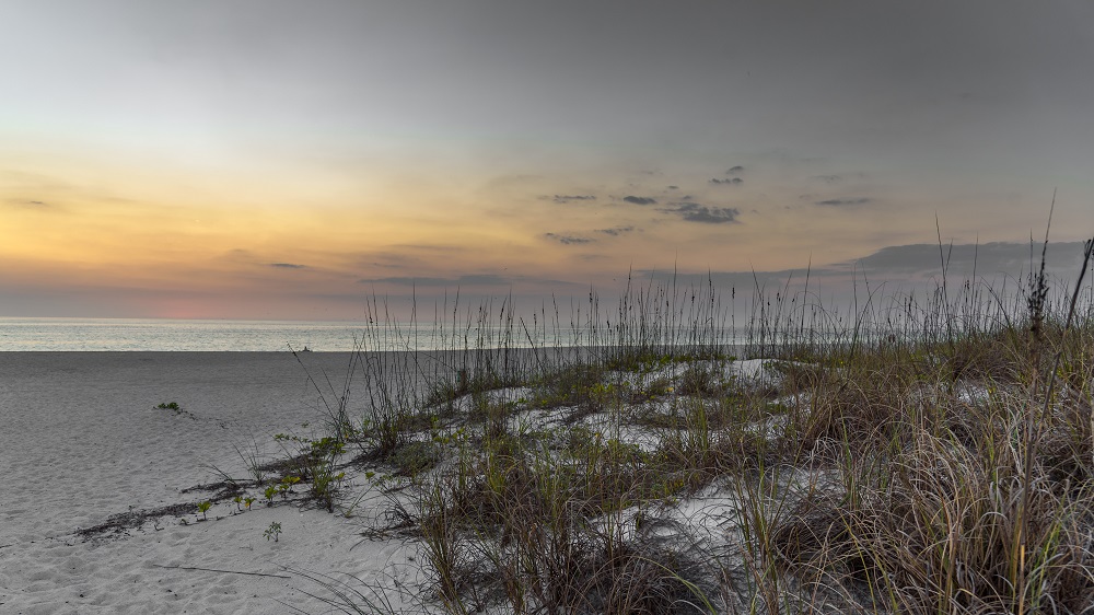 Bradenton Beach--3.jpg
