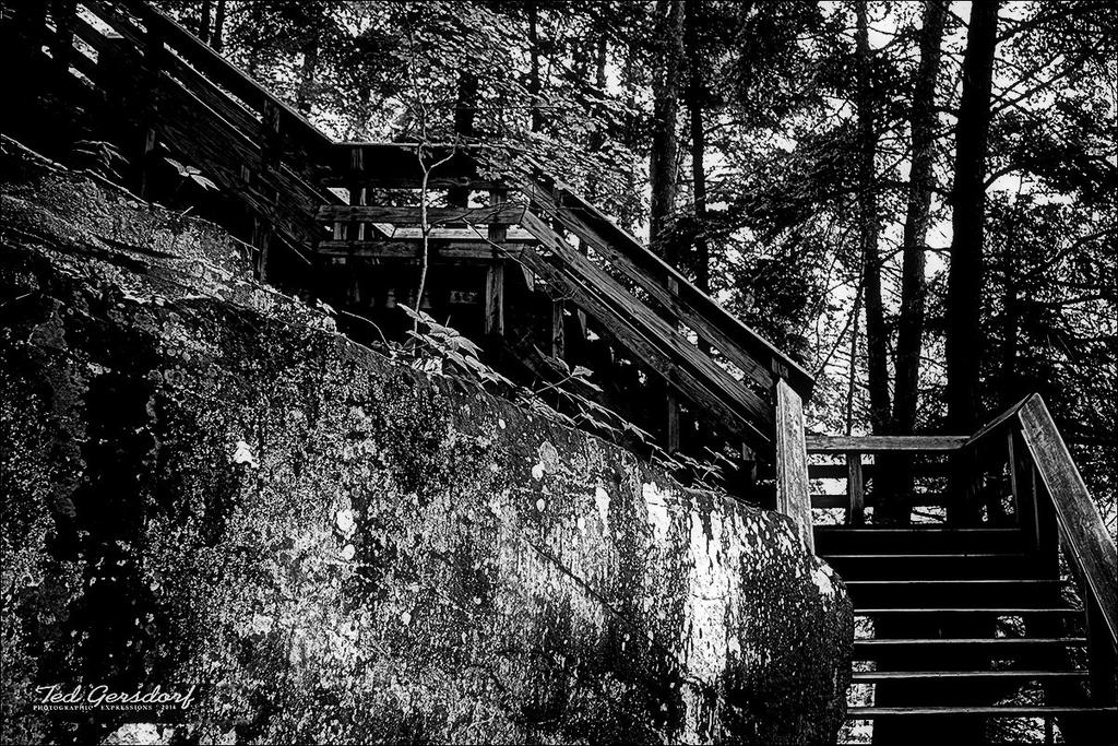 Brandy Wine 20BW.jpg