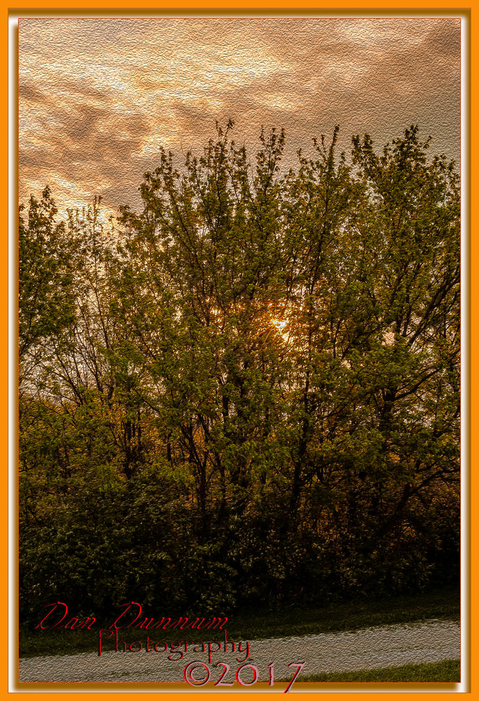 breaking dawn-4996-Edit.jpg