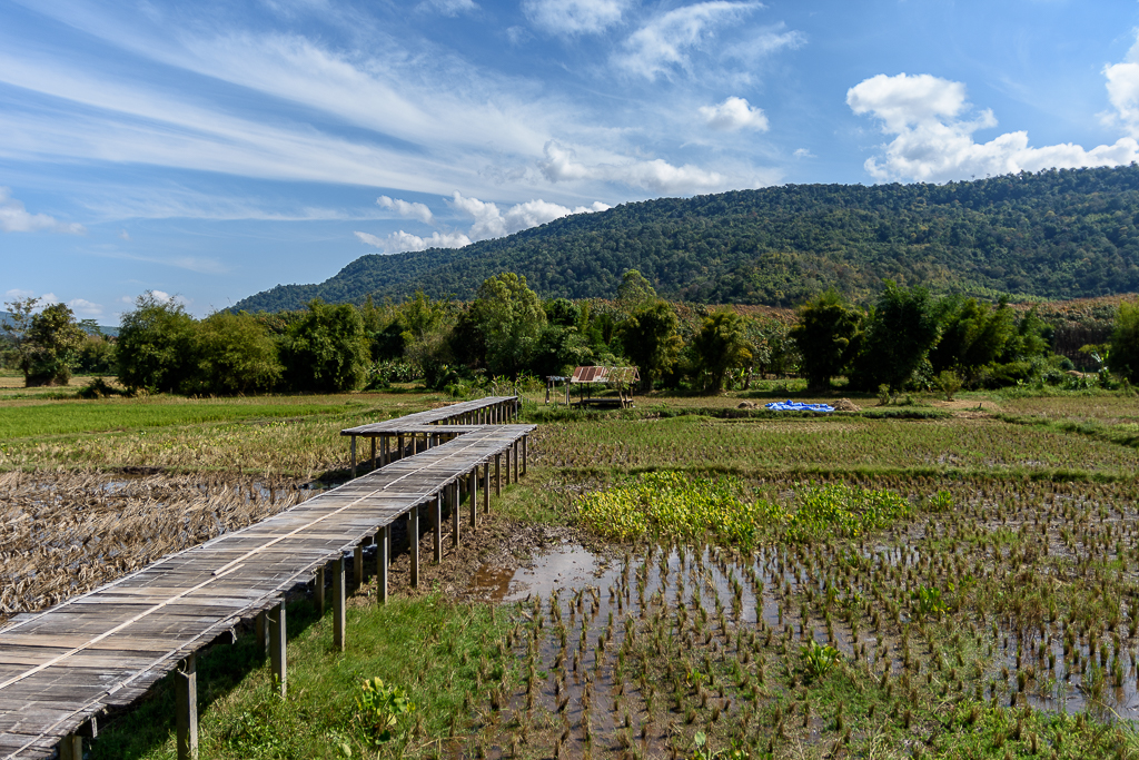 bridge-1.jpg