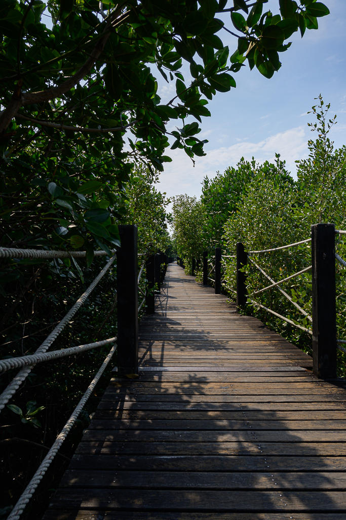bridge-1.jpg