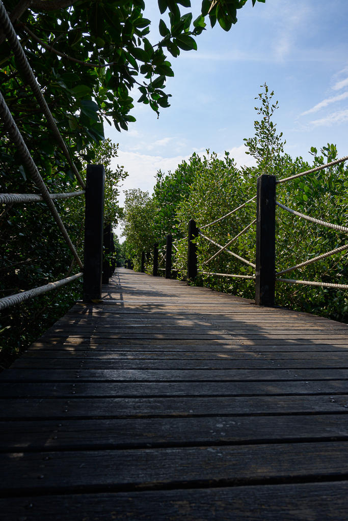 bridge-2.jpg