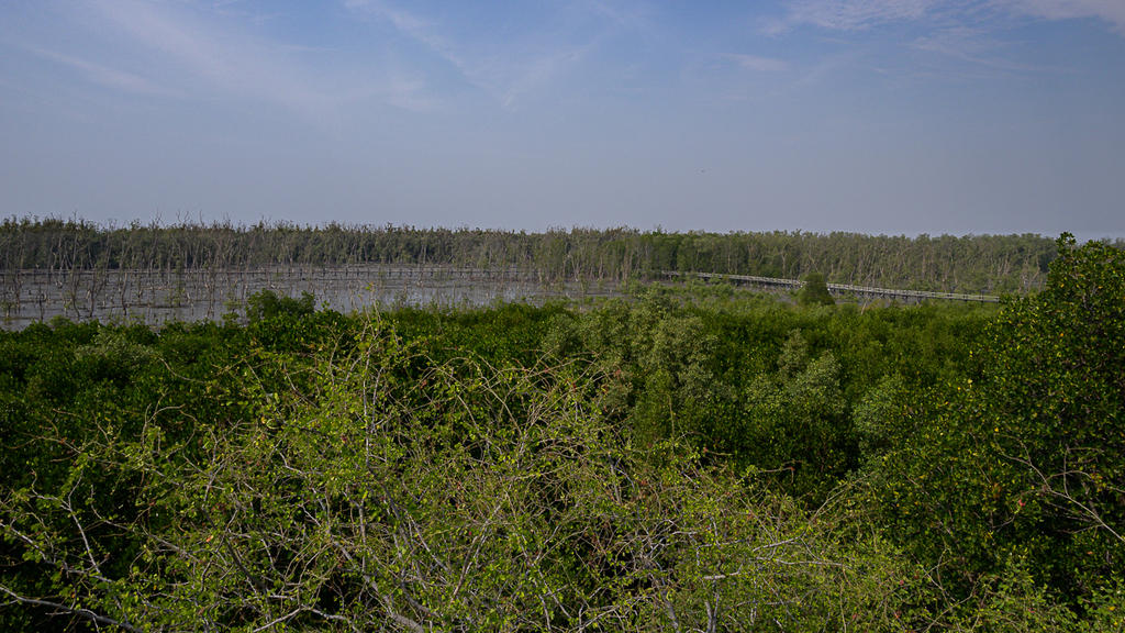 bridge-3.jpg