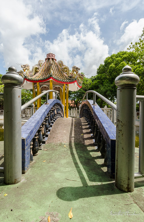 bridge-4.jpg