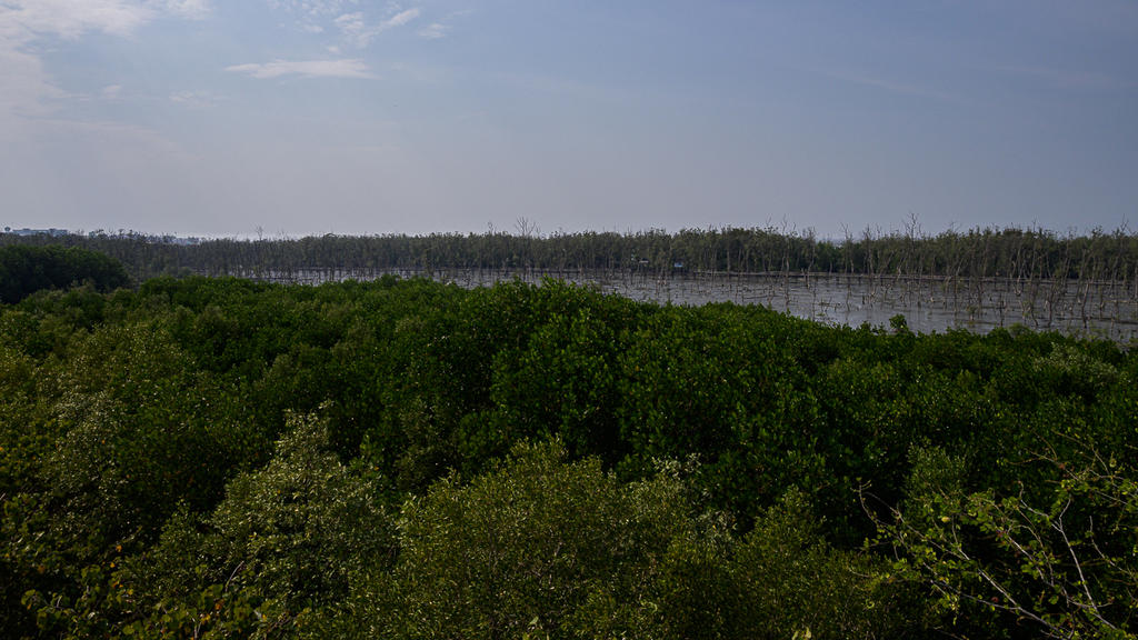 bridge-4.jpg