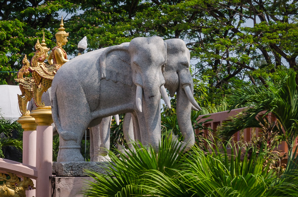 bridge-elephant-3.jpg