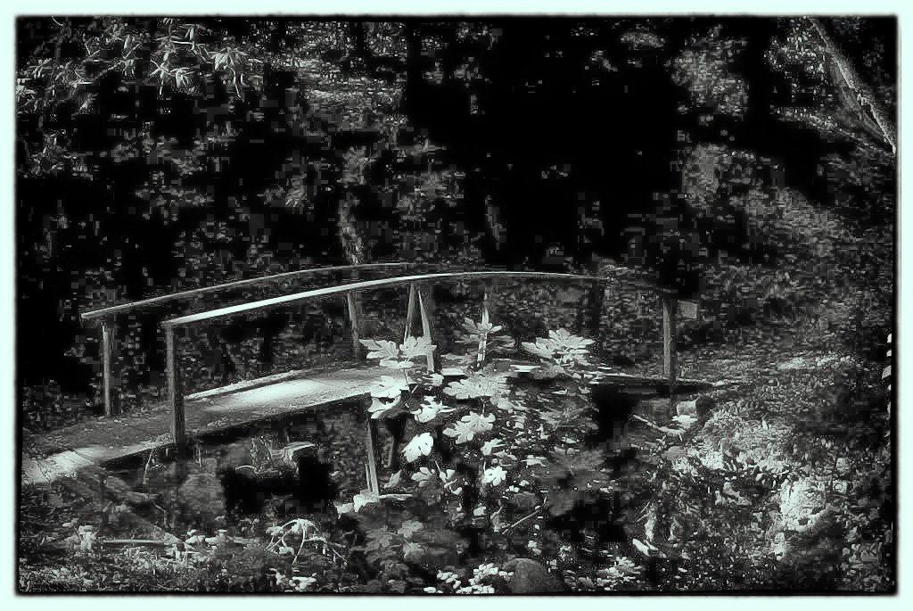 bridge.jpg