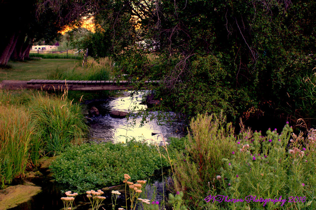 Bridge over the Creek 8-11-2016.jpg