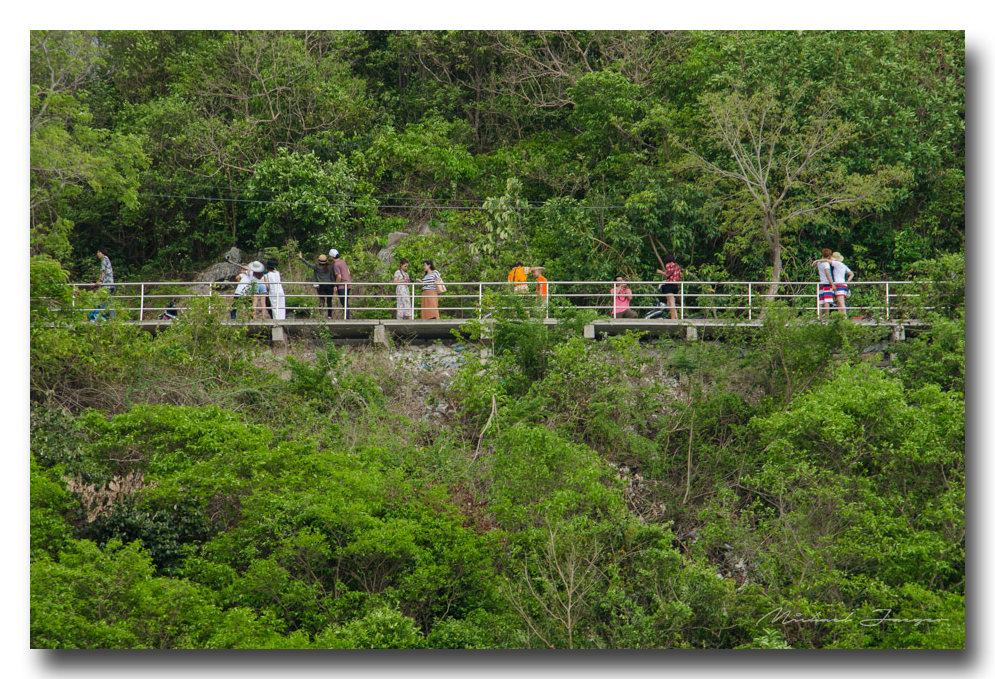 bridge-ype.jpg
