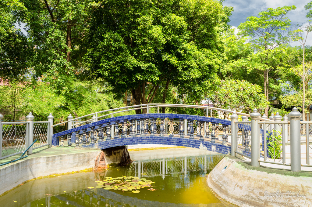 bridge1-1.jpg