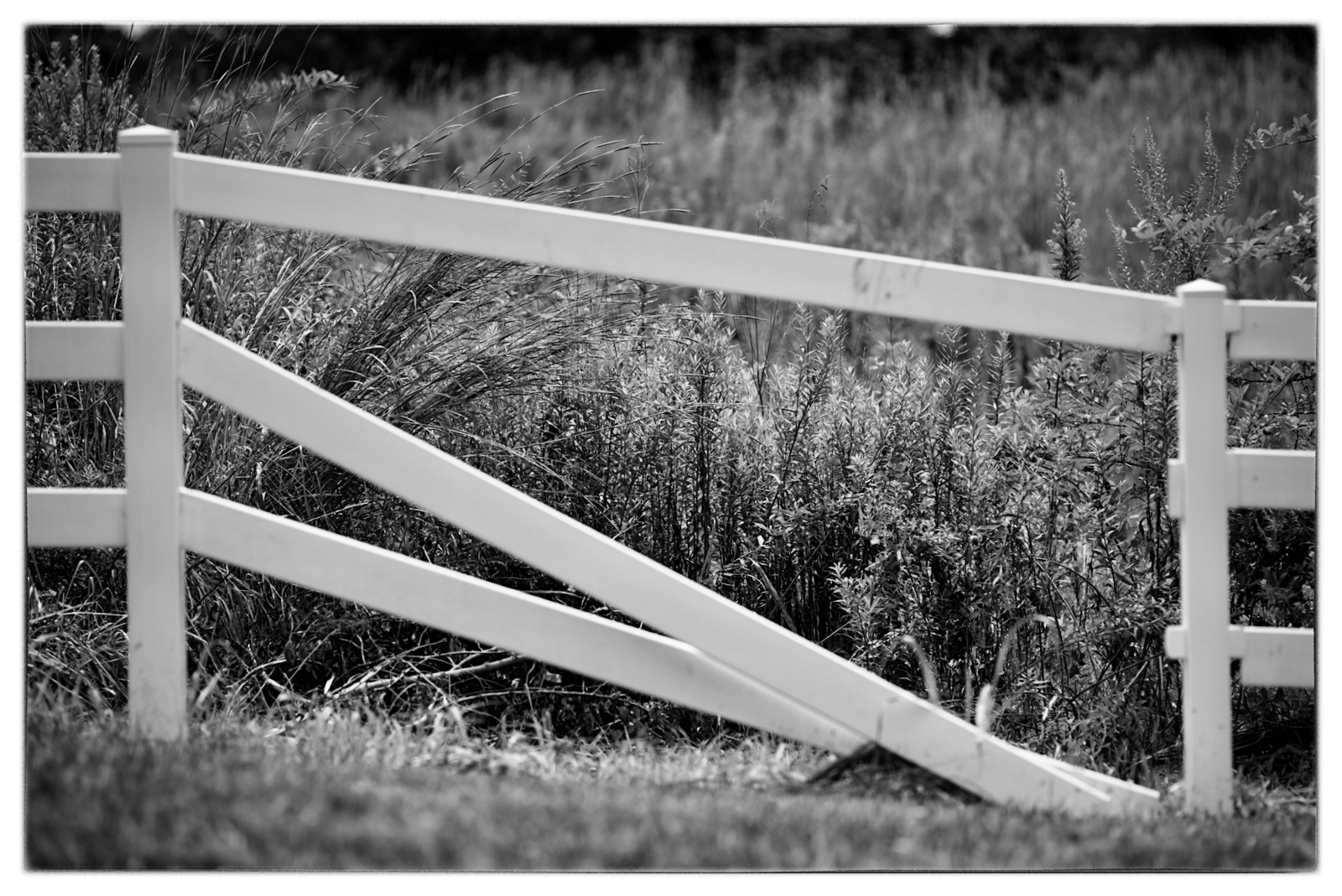 Broken Fence2.JPG