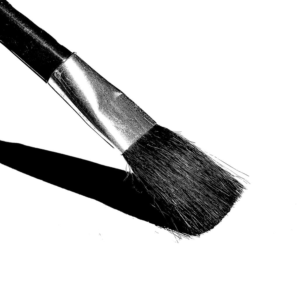 Brush-B&W.jpg