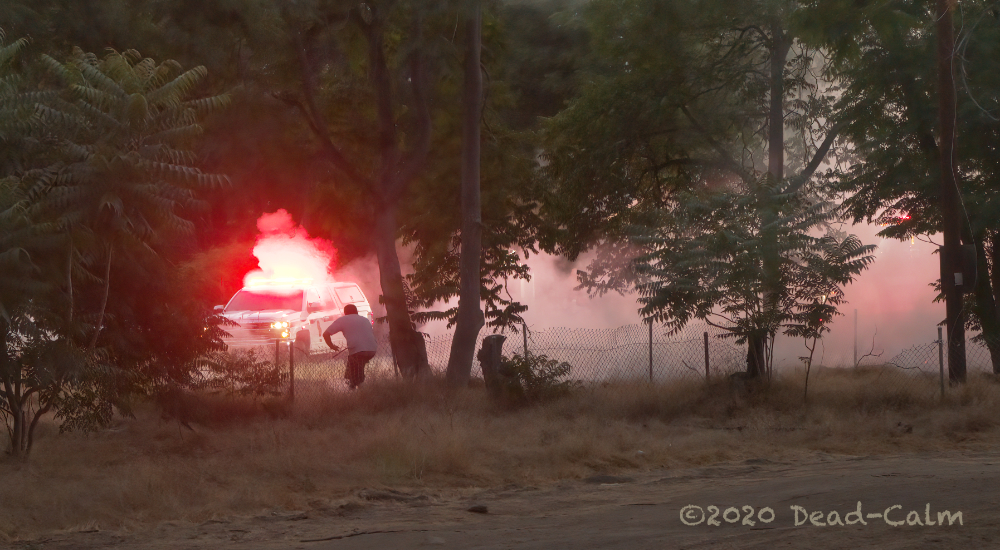 brushfire N LR 500_2761.jpg
