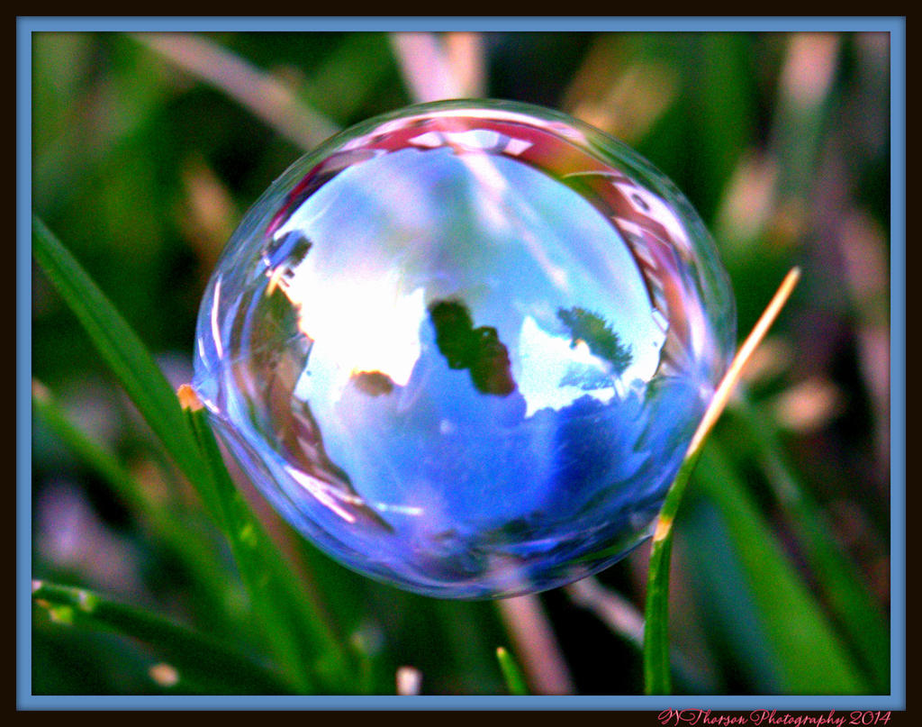 Bubble in the Grass.jpg