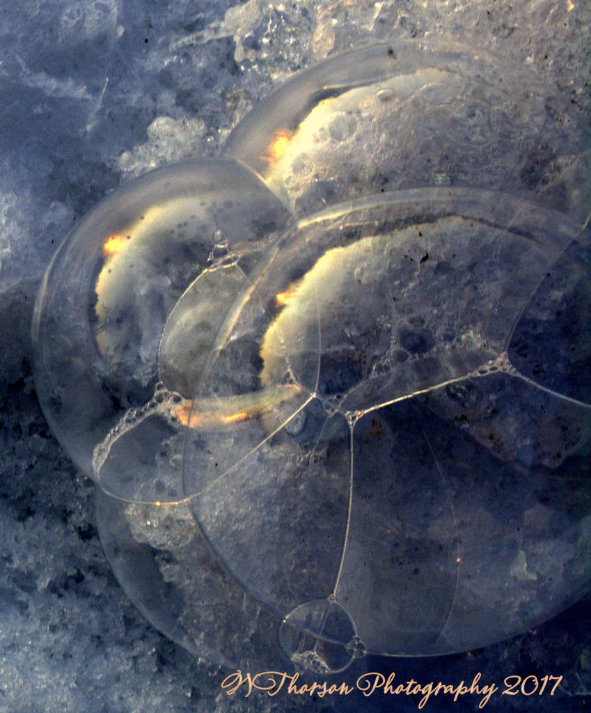 Bubbles in the Snow #2 1-17-2017.jpg