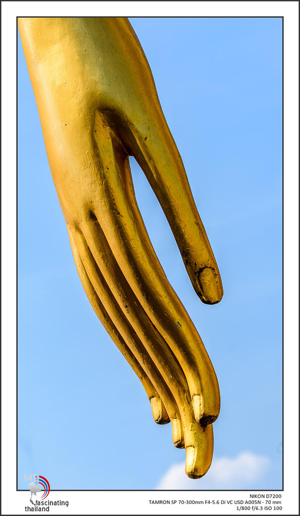 buddha-hand-1.jpg
