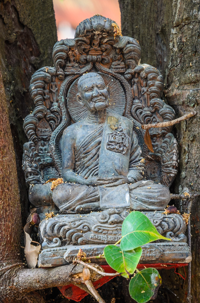 buddha-tree-2.jpg
