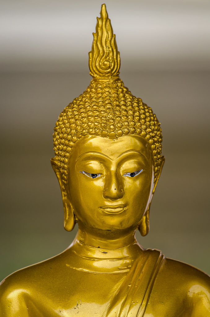 buddha-ype-1.jpg