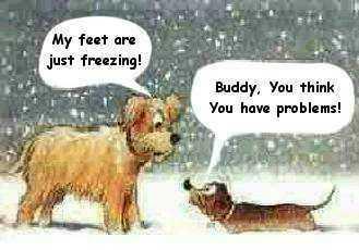 Buddy-you-think-you-have-problems.jpg