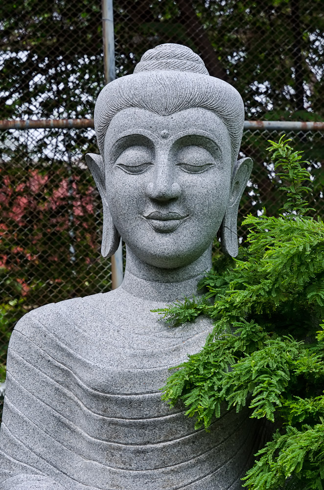budhha-2.jpg