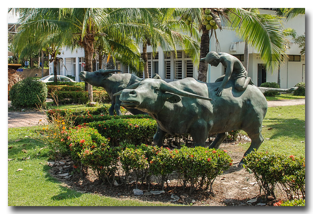 buffalo-ype-banbung.jpg