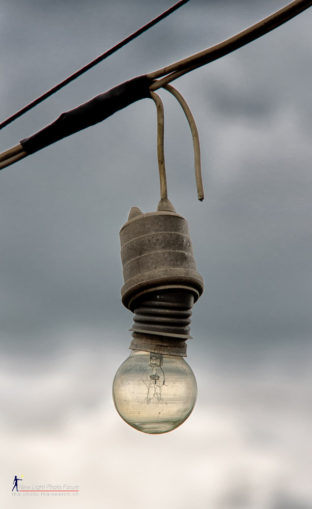 bulb.jpg